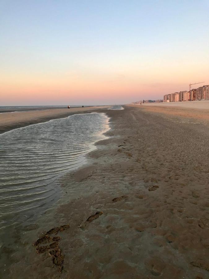 Happy Stay By Anais - 20M To Beach De Panne Luaran gambar